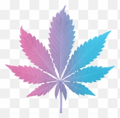 Paradiso Gardens - Weed Pdf Png,Indica Icon
