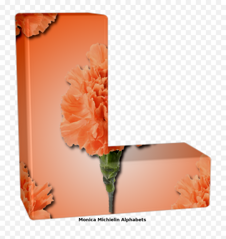 Monica Michielin Alphabets Orange Carnation Flower Alphabet - Artificial Flower Png,Letter L Icon