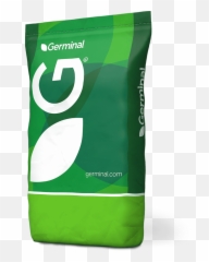Leafy Turnip - Household Supply png