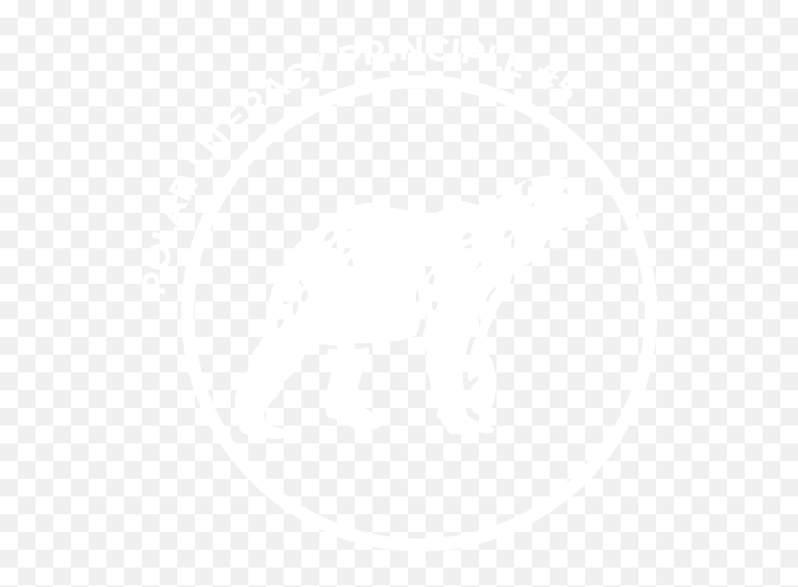 Polar Literacy Initiative U2013 Ice - Dot Png,Polar Bear Icon