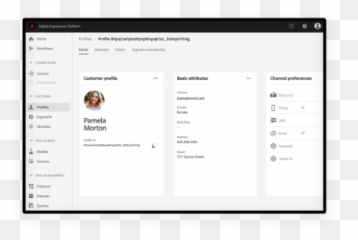 Adobe Real - time CDP u2014 realtime data platform marketers Time Customer Data Platform png