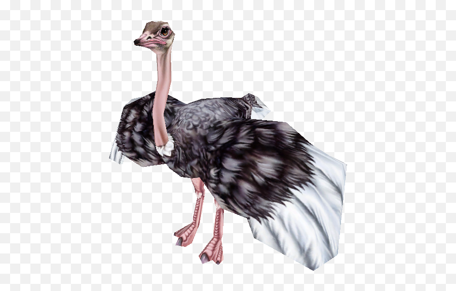 Pc Computer - Zoo Tycoon 2 Ostrich Male The Models Zoo Tycoon 2 Ostrich Png,Ostrich Icon
