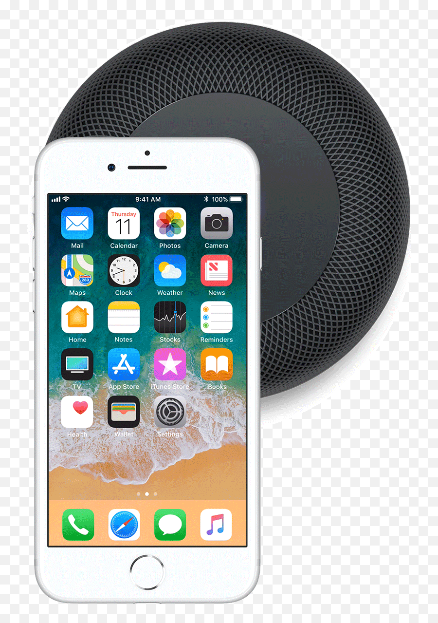 How To Set Up Your New Homepod - Iphone 7 Apple Phone Png,Siri Icon Ios 8