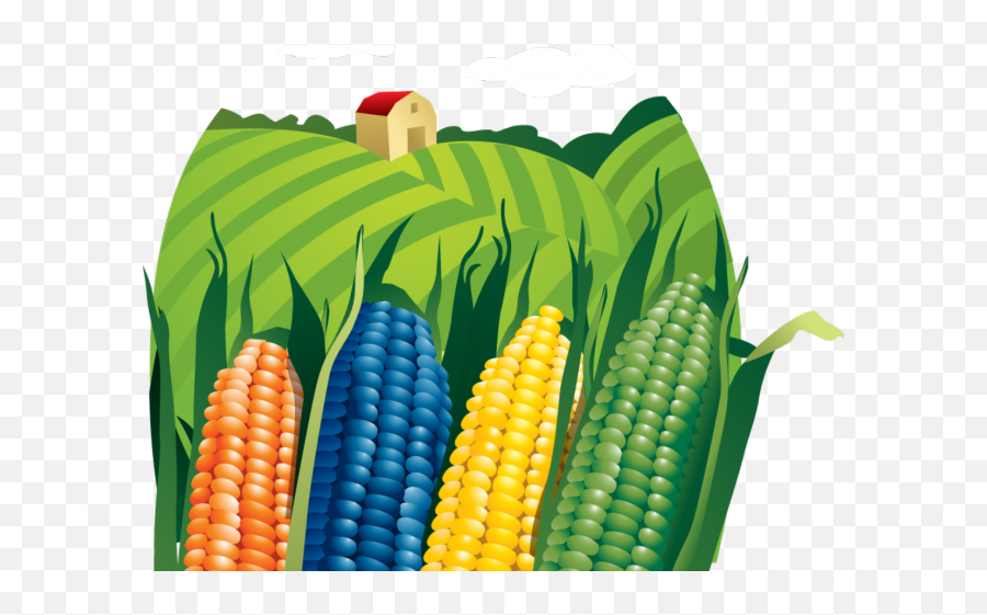 Corn Clipart Png - Corn Farm Png Transparent,Corn Clipart Png