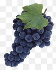 Grape Clip Art - Black Grapes Png,Grapes Png
