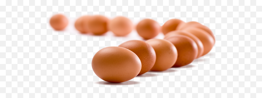 Download Eggs Png Hd 176 - Eggs Png,Egg Png