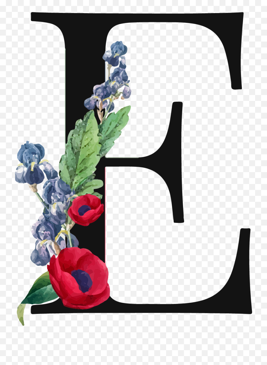 Letter E Png Images Transparent - Pierre Joseph Redoute,E Png