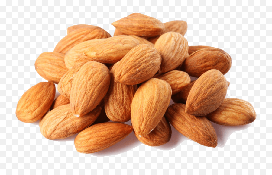 Nuts Single Transparent Png Clipart - Walnuts Png,Nuts Png