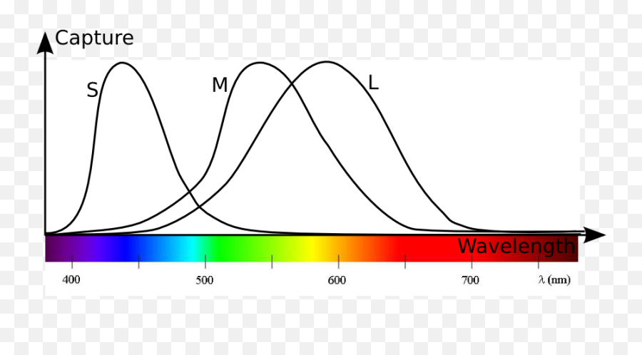 Its Not Just About Wavelengths - Plot Png,Wavelength Png