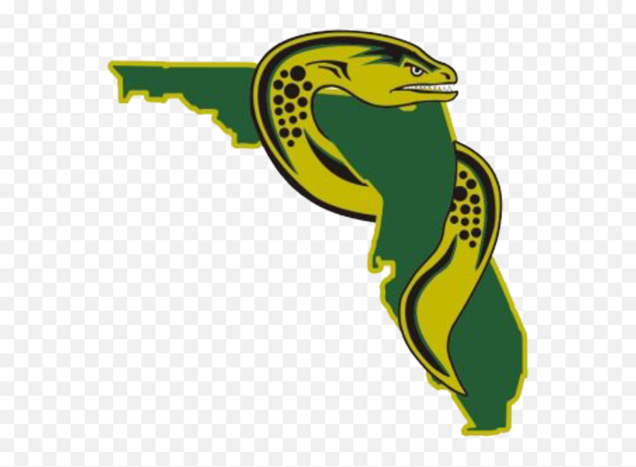 Florida Eels Announce The Signing Of Six Additional Players - Florida Eels Hockey Logo Png,Eel Png