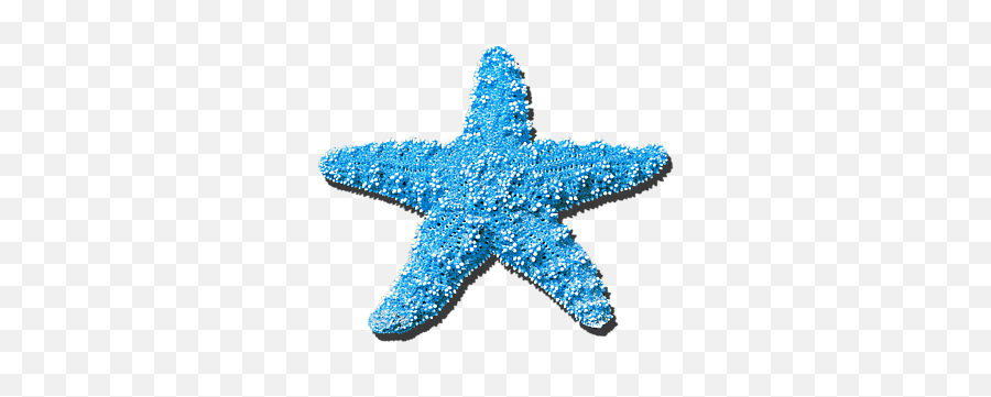 Sea Star Light Blue Png Yoga Mat - Identify Real Life 2d Shapes,Star Light Png