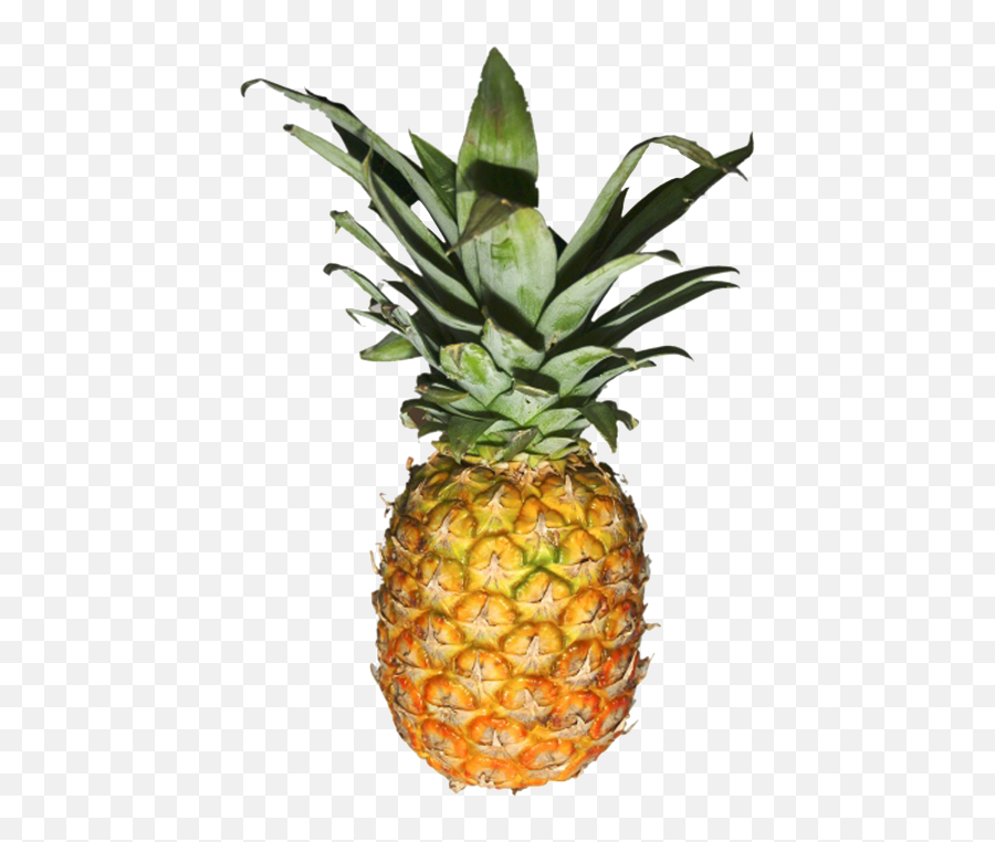 Pineapple Png Transparent - Transparent Pineapple Png Translucent Pineapple Clear Background,Pineapple Png