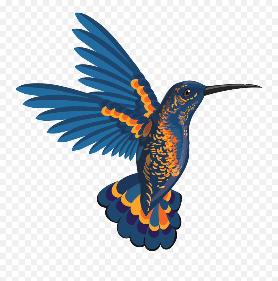 Free Png Hummingbird - Konfest Birds Flying Beautiful Png,Hummingbird Png