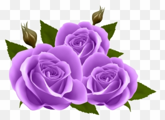 Purple Roses Png Clip Art Image - Purple Rose Clip Art,Purple Flowers Png