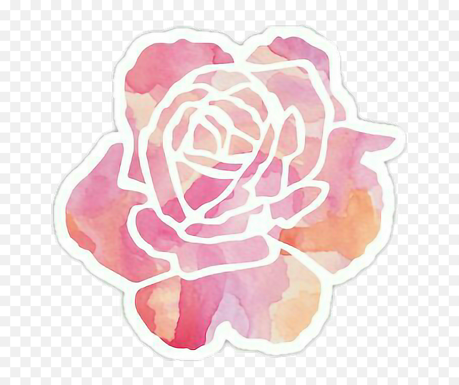 Download Watercolor Effect Watercolorstickers - Lovely Png,Watercolor Rose Png