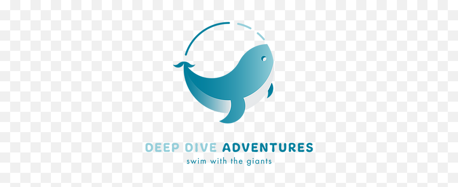Logo Design Jack Taylor Creative - Fish Png,Deep Dive Icon