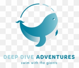 Logo Design Jack Taylor Creative - Fish png