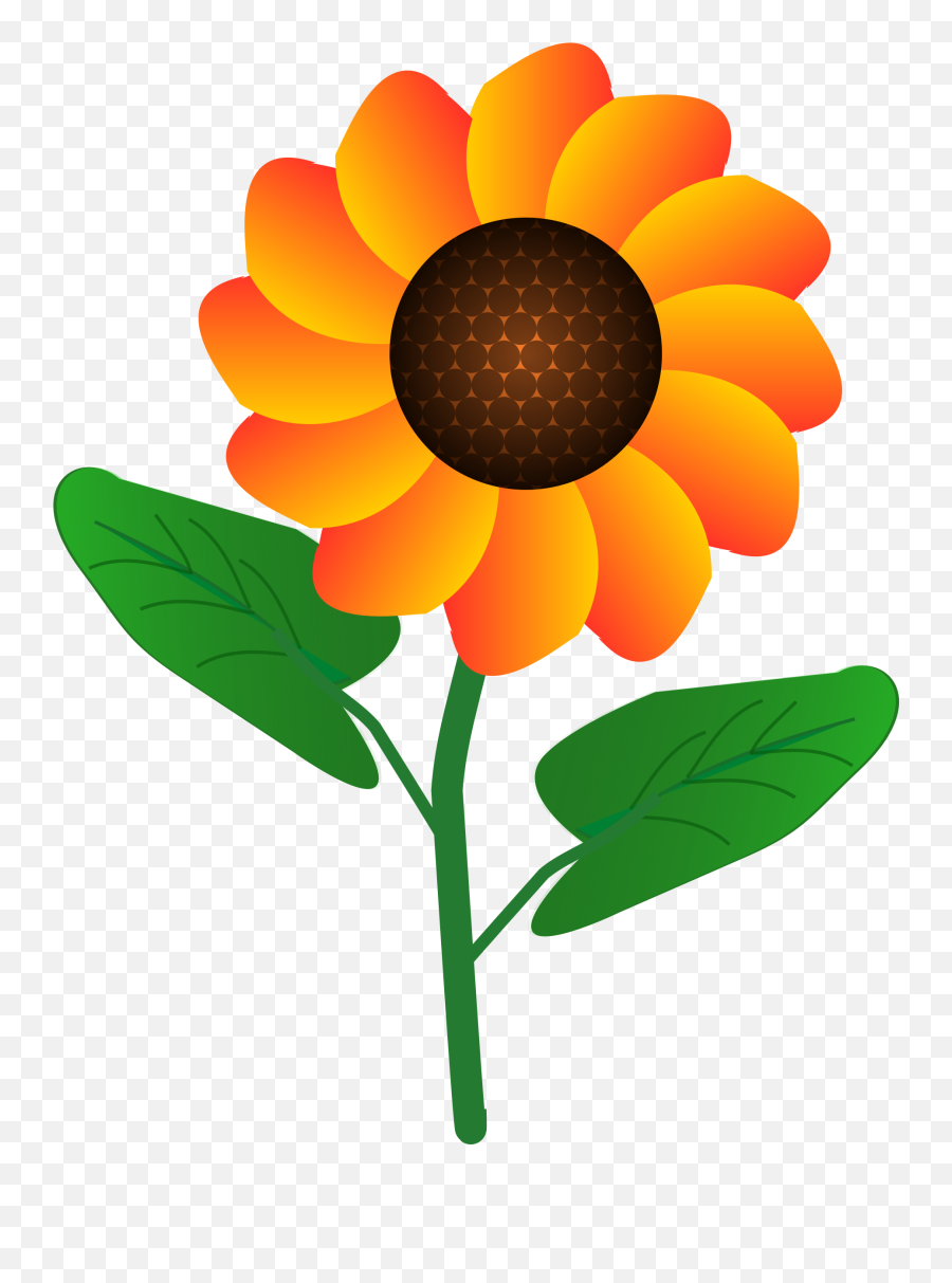 Flower - Simple Flower Clipart Design Png,Simple Flower Png