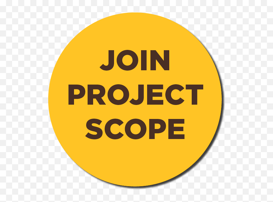 Project Scope - Turkish Airlines Png,Project Scope Icon