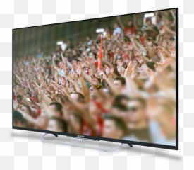 Tds Channel Lineup - Electronics Brand png