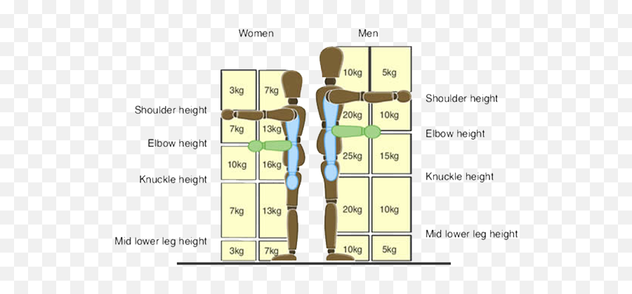 Safety Policy - Manual Handling Weights Png,Manual Handling Icon