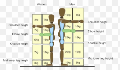 Safety Policy - Manual Handling Weights png