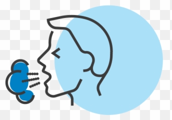 Legacy Summer Camp - Language png