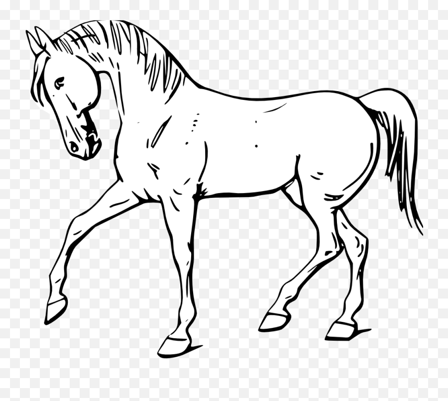 Horse - Outline Of A Horse Png,White Horse Png