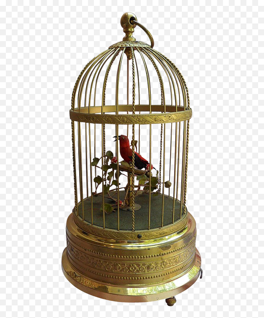 Cage Transparent Parrot - Bird In Cage Transparent Png,Cage Transparent