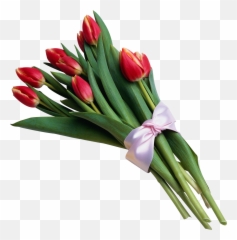 Tulip Png Image - Bouquet Of Flowers Transparent Background