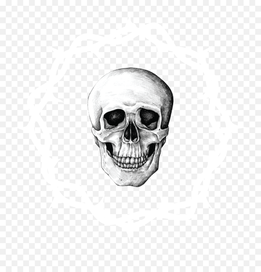 Ghost Rider - Clothing Png,Skeleton Aesthetic Icon