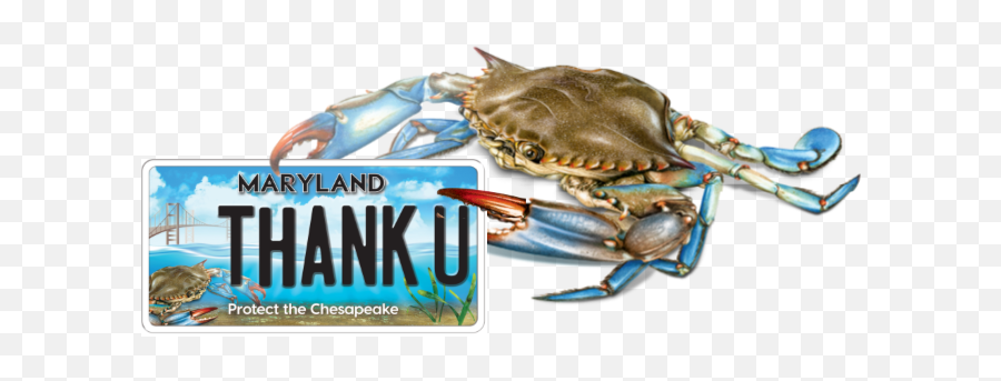 Thank You And Farewell To Behnke Nurseries - Chesapeake Bay Chesapeake Blue Crab Png,Farewell Icon
