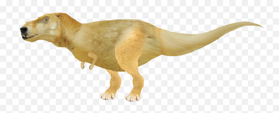 Dogelore - Triceratops Png,Tyrannosaurus Rex Png