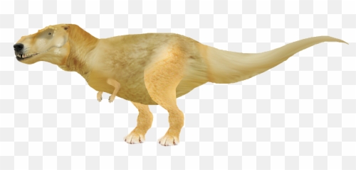 Dogelore - Triceratops png