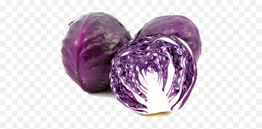 Purple Cabbage Transparent Image - Purple Cabbage Png,Cabbage Png