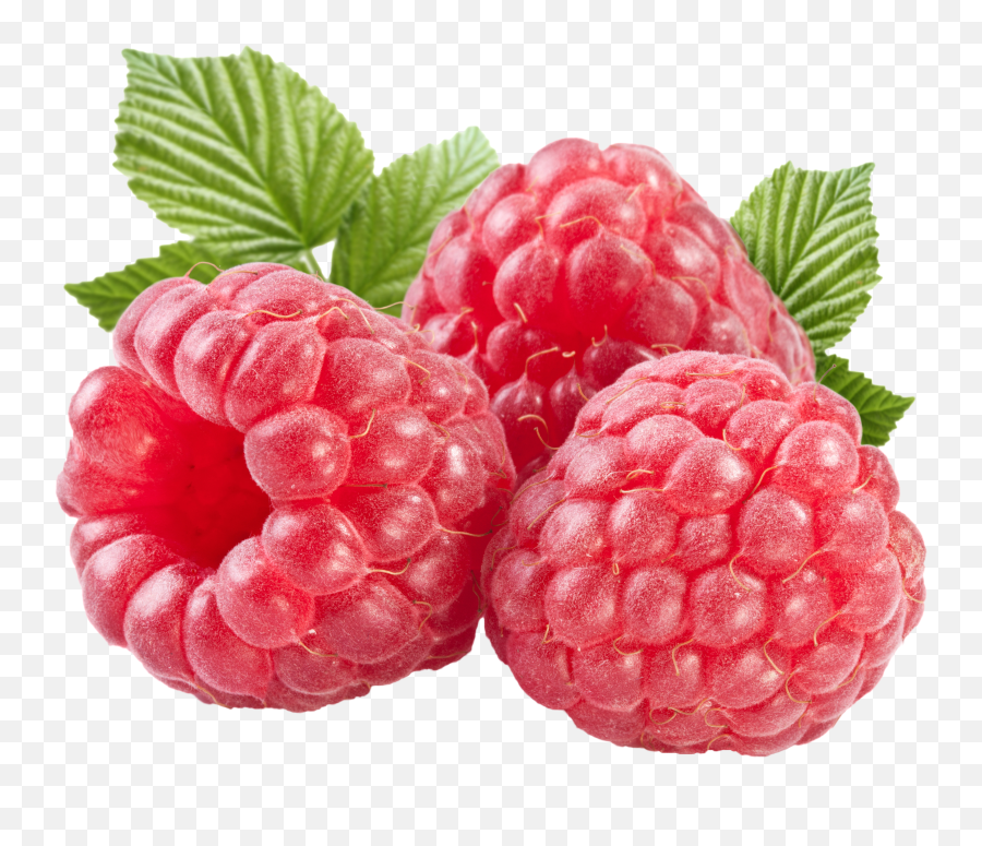 Png Hd Transparent Berry Berries