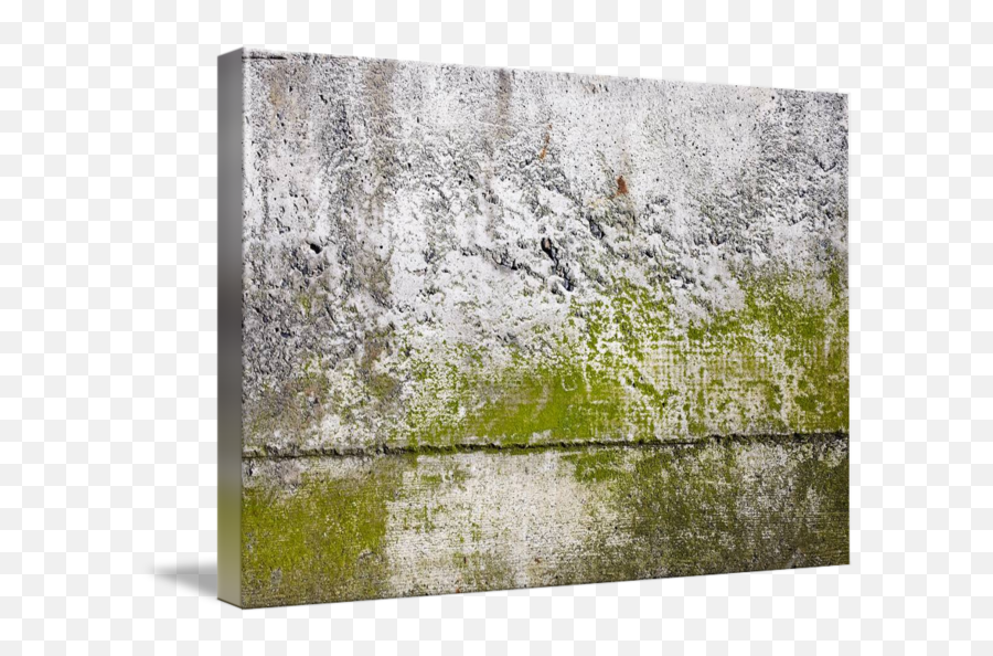 Texture Photograph 0315 - Grass Png,Concrete Texture Png