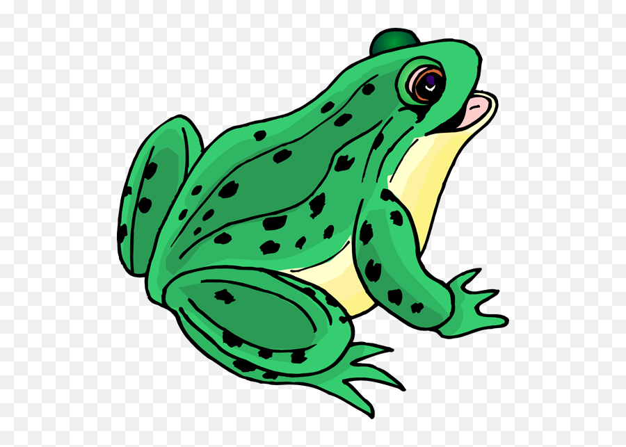 Frog Png And Vectors For Free Download - Dlpngcom Clip Art Picture Of Frog,Pepe The Frog Transparent