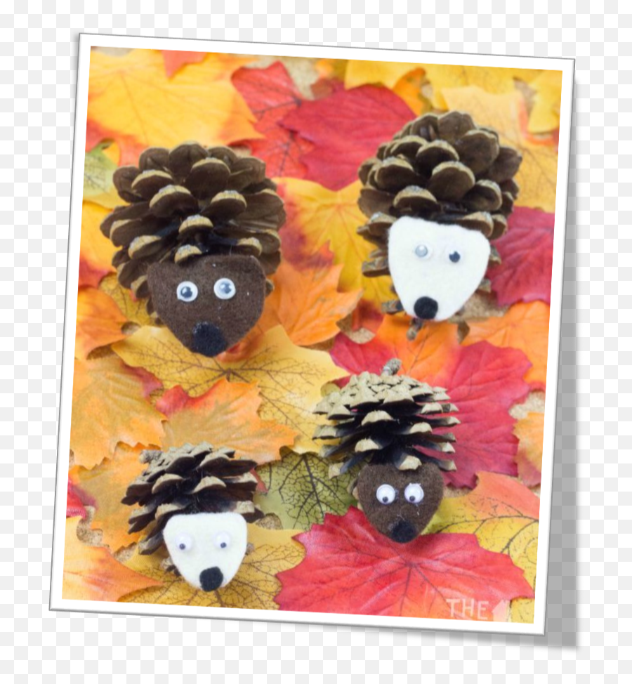 Our Big Backyard Series Fall Foliage Walk - Prescott Farm Make A Hedgehog Out Png,Fall Leave Png