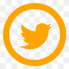 Free Orange Social Icons - Transparent Background Facebook Instagram Logo Png