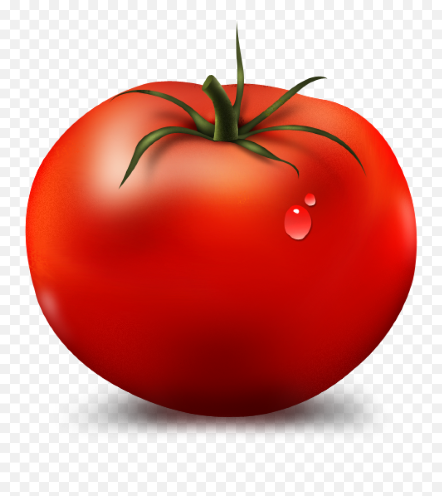 Tomato Icon Myiconfinder - Tomato Clip Art Png,Tomato Slice Png