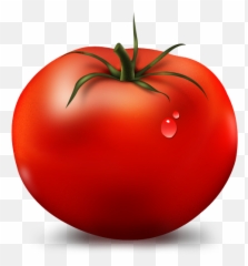 free transparent tomato slice png images page 2 pngaaa com transparent tomato slice png images