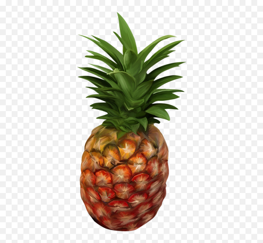 Ananas Png Dessin - Piña Png Pineapple Drawing Png Words That Rhyme With Pineapple,Piña Png