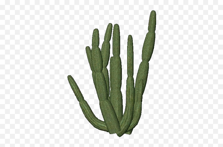 3d Flowers - Cactus Png Transparent,Cactus Png