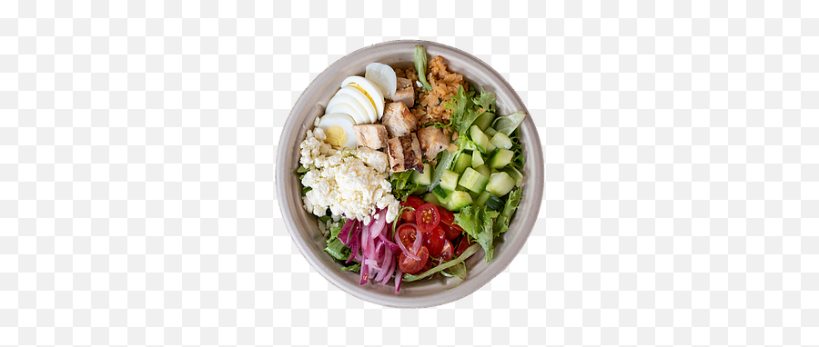 Home Wilmington Savanna Salad Bowls U0026 Sandwiches - Caesar Salad Png,Fruit Salad Png