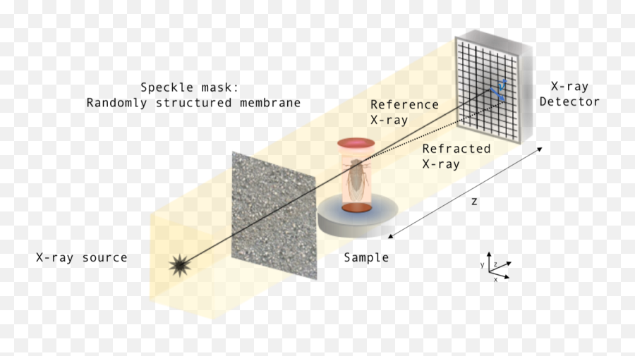 Single - Image Geometricflow Xray Speckle Tracking Coffee Table Png,Speckles Png