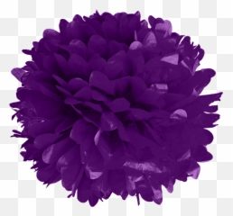 Purple Tissue Pom Poms - Transparency Png,Pom Pom Png