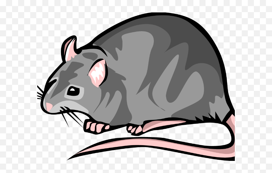 Rat - Transparent Background Easy Rat Clipart Png,Rat Transparent