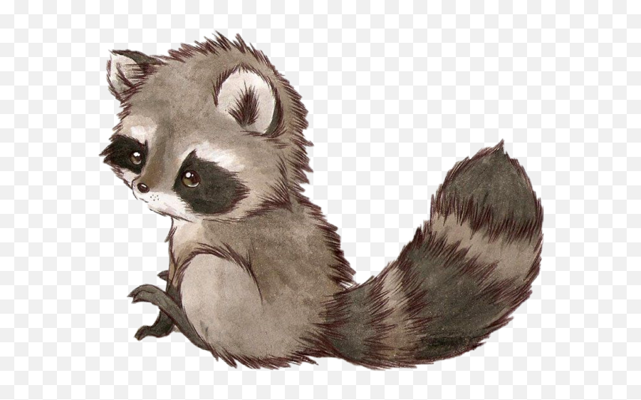 Download Cute Baby Raccoon Drawing - Full Size Png Image Cute Baby Racoon Drawing,Raccoon Transparent Background