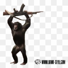 Free Ape With Ak47 Psd Vector Graphic - Vectorhqcom Macaque Png,Ak 47 Png